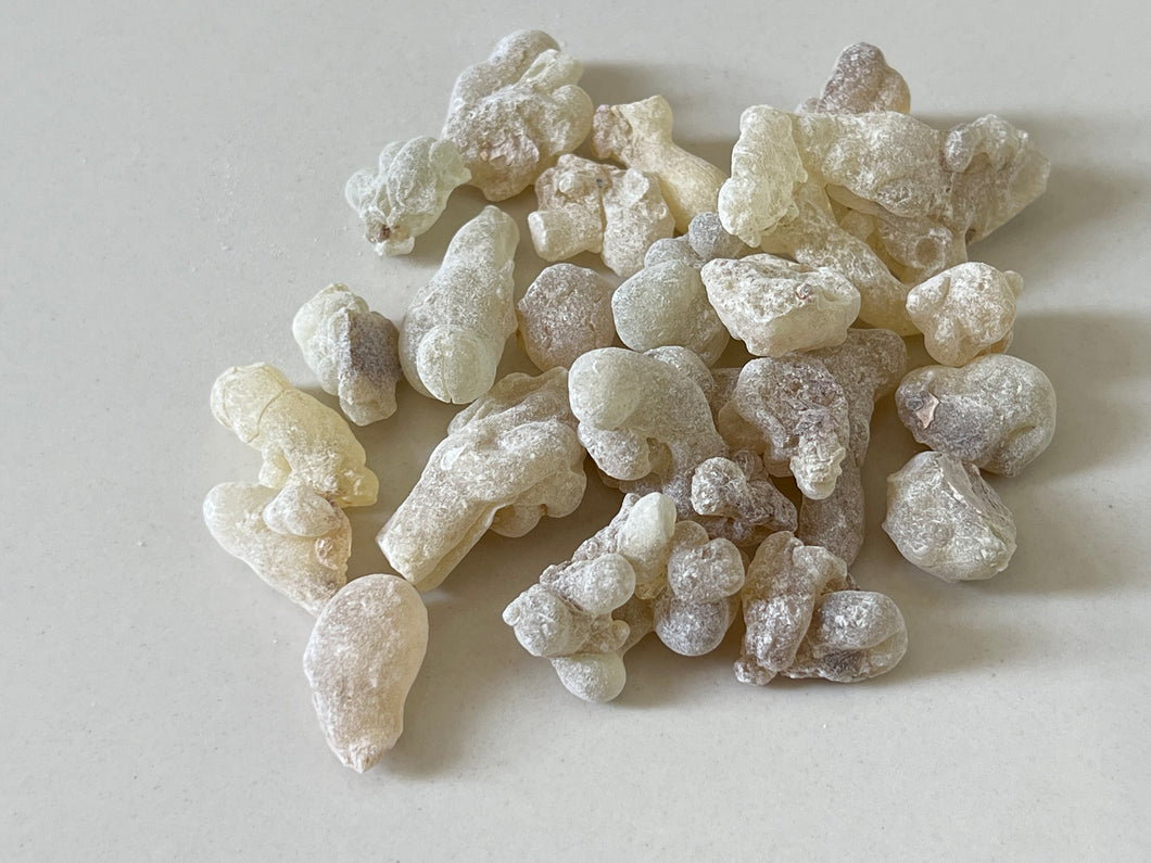 Bowsellia Sacra Frankincense from Dhofar (top) 佐法爾阿曼綠乳香 (大)